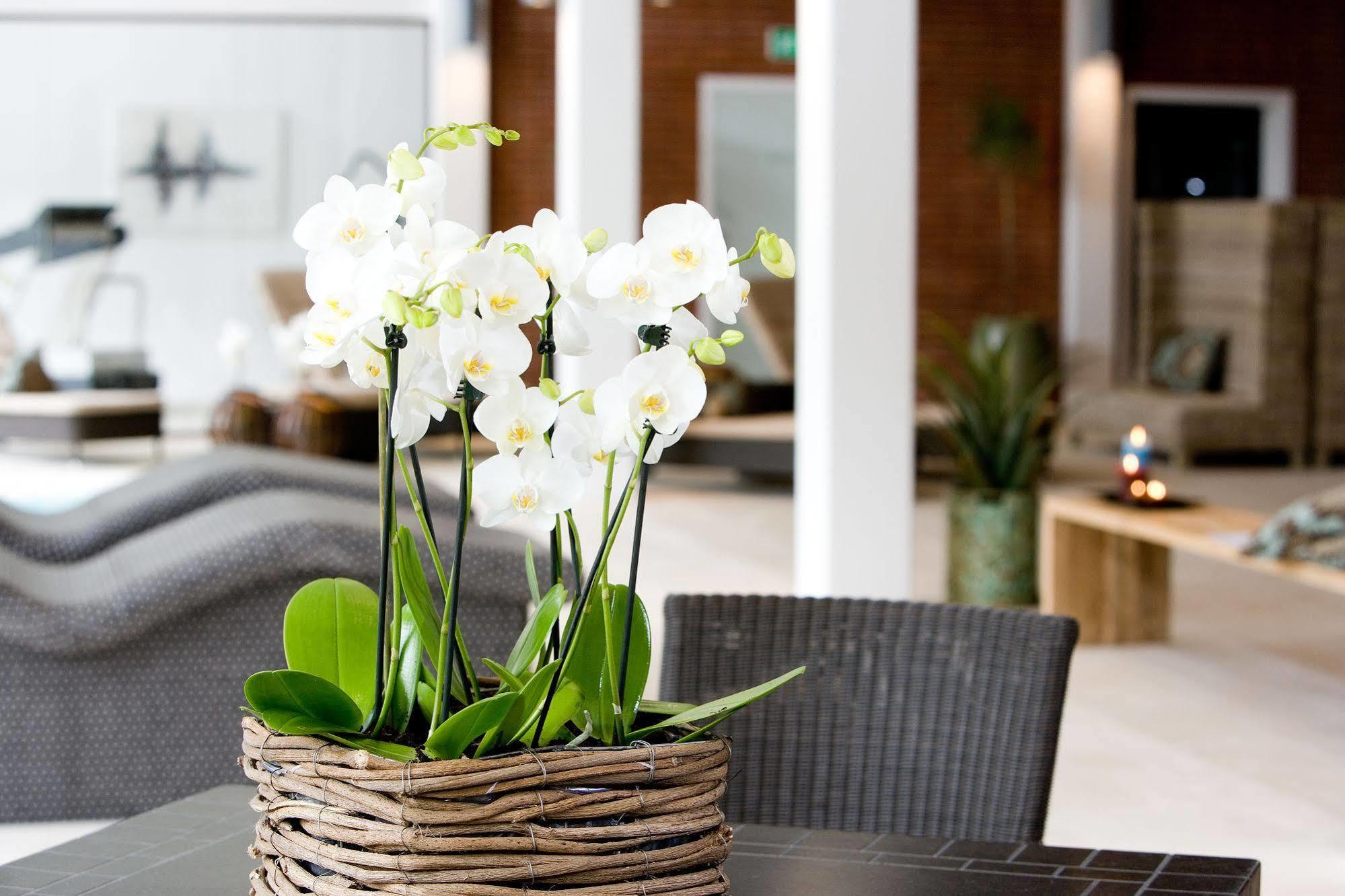 Hotel Hesselet Nyborg Luaran gambar